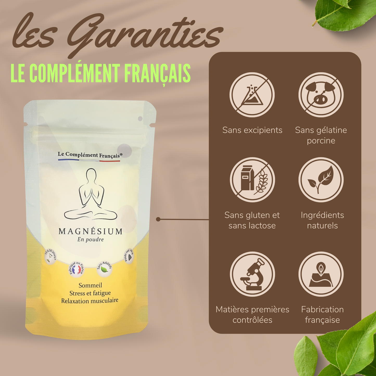 MAGNÉSIUM POUDRE