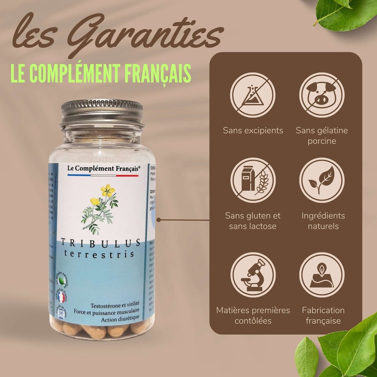 Complément alimentaire TRIBULUS TERRESTRIS - LCF - CI